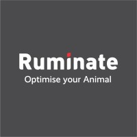 Ruminate